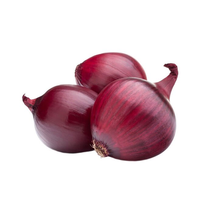 04 04