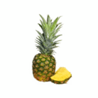 8b164ac0-6bbe-4d07-9105-8cdb7c093f58